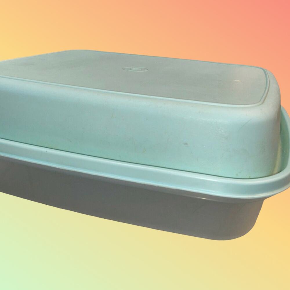 Tupperware Seafoam Green Meat Marinade Container 1294 1295 Sheer Large Seasoning